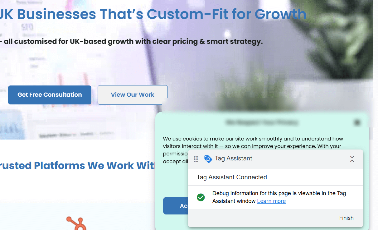 Tag Assistant connection proof for Shopify tracking setup UK