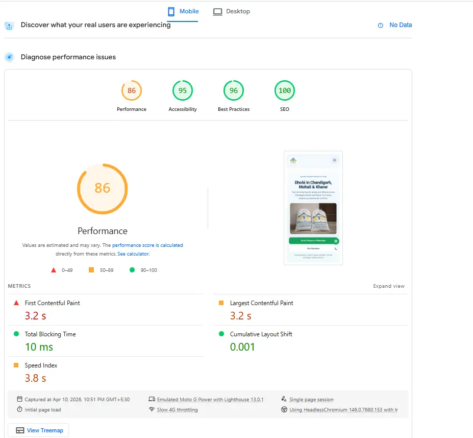 Mobile Google PageSpeed results for the Dhobi in Chandigarh website